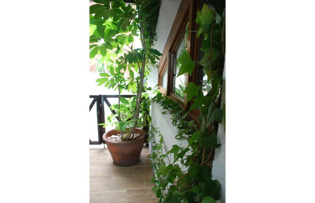 Casa Del Mediterraneo ลาเอร์ราดูรา ภายนอก รูปภาพ